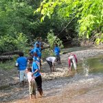 CBEP summer campers exploring a creek during a park outing