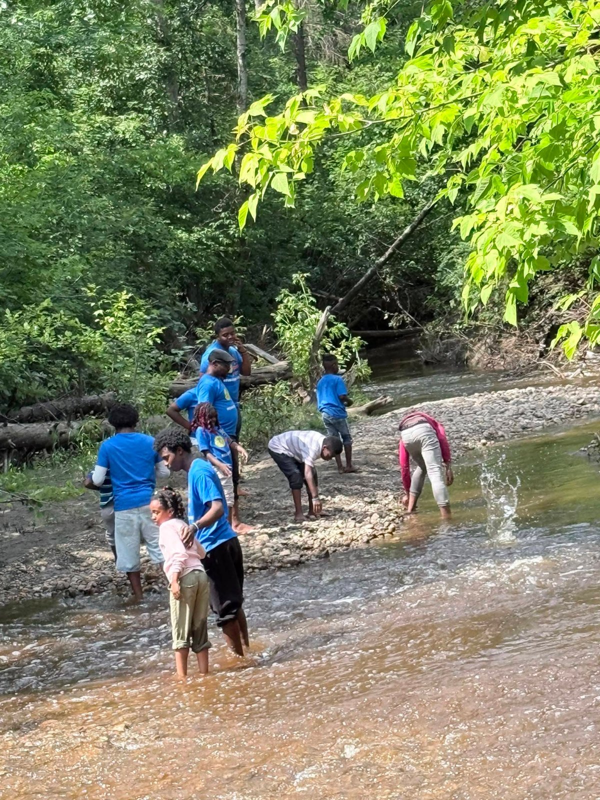 CBEP summer campers exploring a creek during a park outing